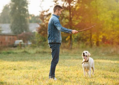 Everything You Need To Know About One-To-One Dog Training